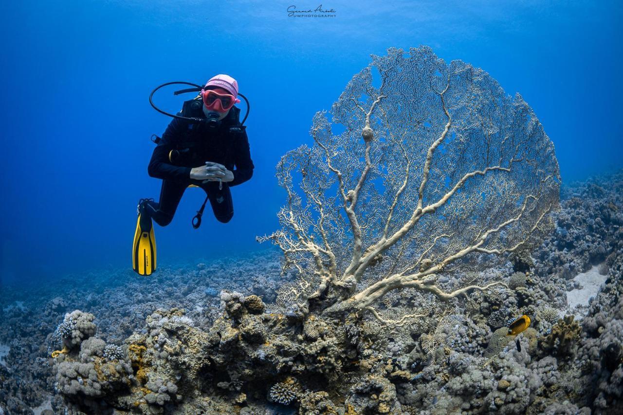 Bait Alaqaba dive center&resort Aqaba Exterior foto